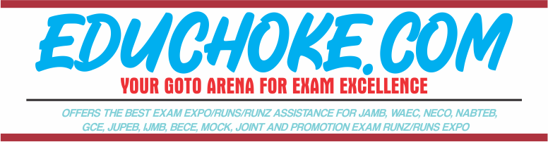 VIBRANT EXAM EXPO SITE